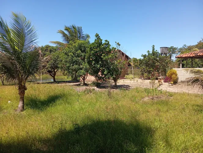 sítio em vieira localizado em Fagundes licena