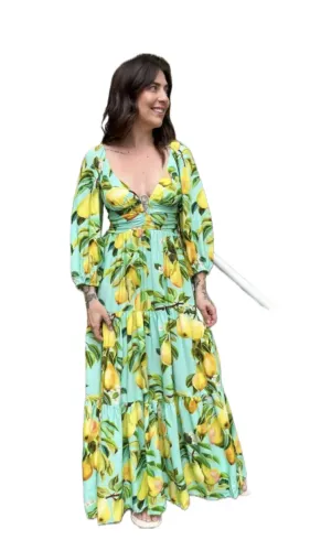 Vestido Farm