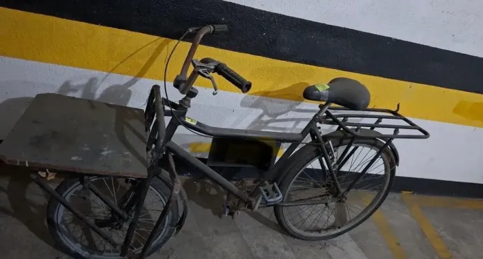 Bicicleta de carga