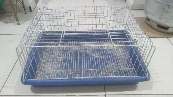Gaiola de Hamster com brinde