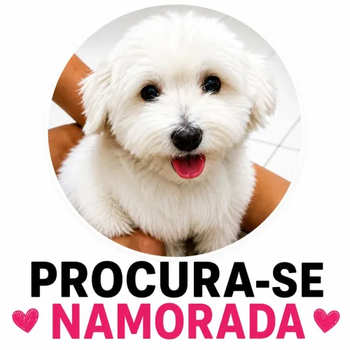 Procura-se namorada