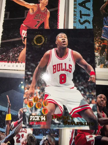 Dickey Simpkins RC #310 1994-95 Stadium Club - Chicago Bulls - NBA Vintage