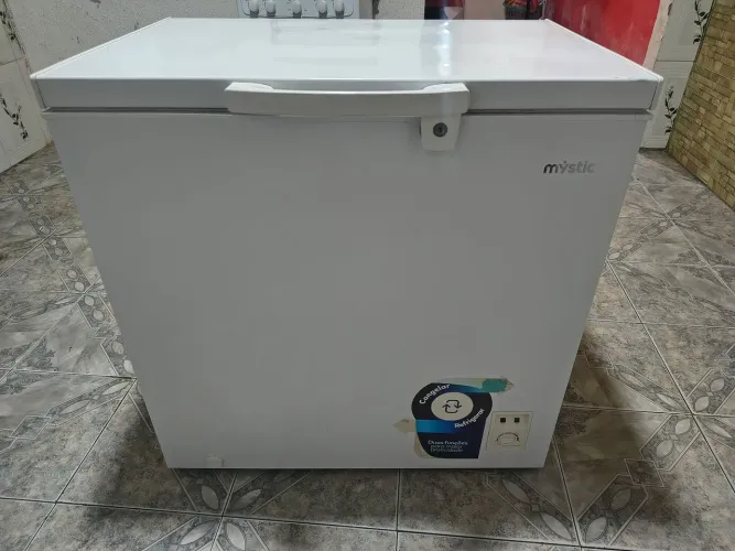 Frizer 200L