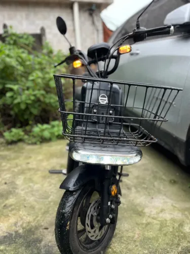 Bee elétrica u1 800w autopropelido
