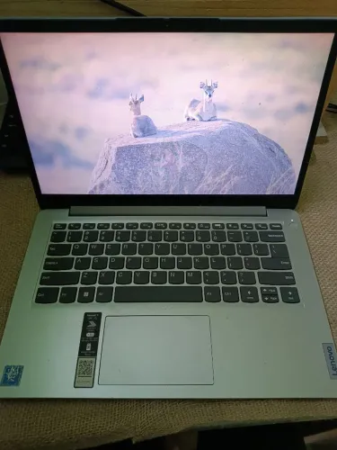 Notebook 14 polegadas Ideapad 1i