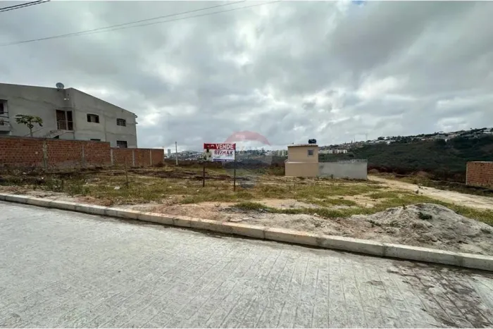 Aqui esta o terreno que procuras!