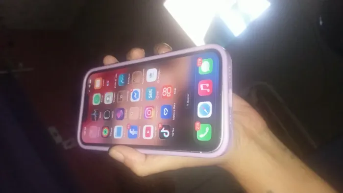 iPhone 13 rose