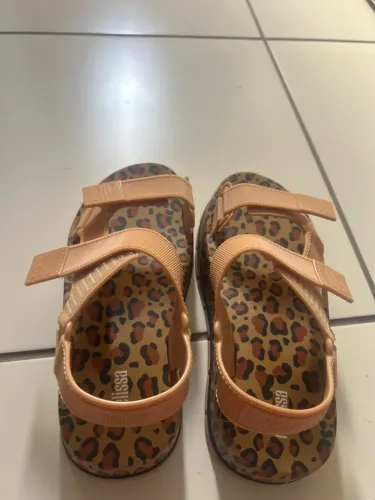 Belíssima Melissa tigres n 37