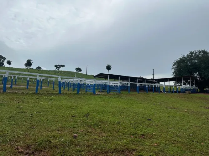 Fazenda Faina-go