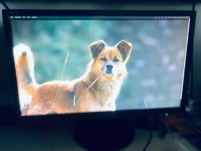 Monitor AOC 24 POLEGADAS