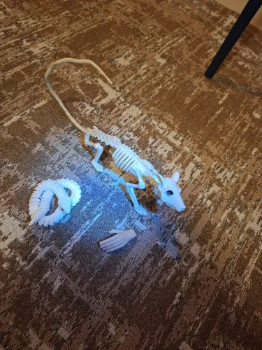 Kit decoração Halloween, esqueleto rato, mãozinha, cobra 