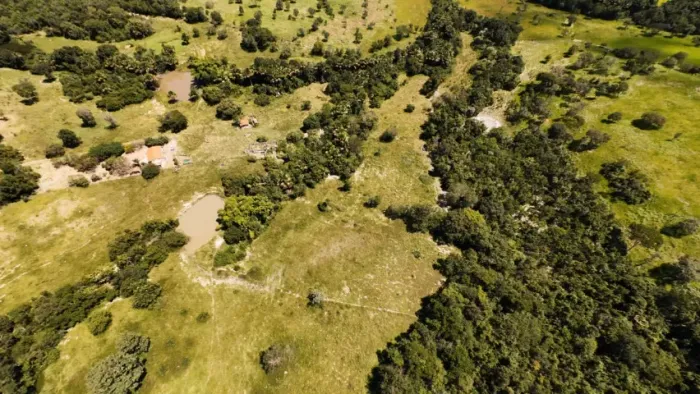 FAZENDA À VENDA EM GOIÁS VELHO