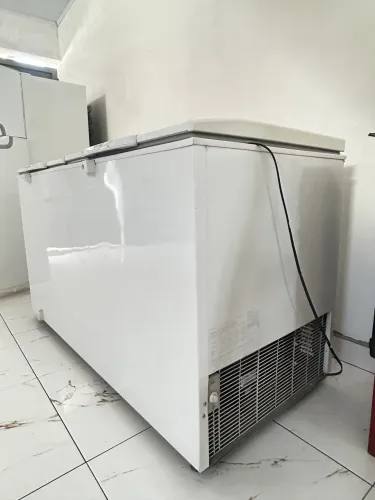 Freezer Electrolux