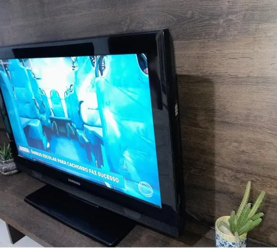 Televisão