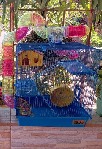 Gaiola para hamster