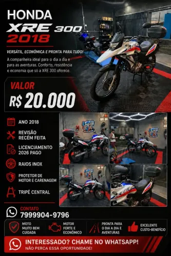Xre 300 Rally