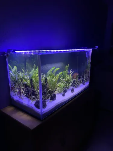 Aquário 200 litros com sump