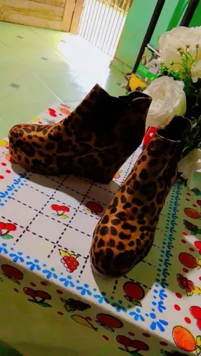 Bota