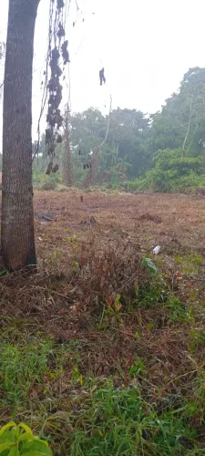 Vendo terreno na ilha do mosqueiro