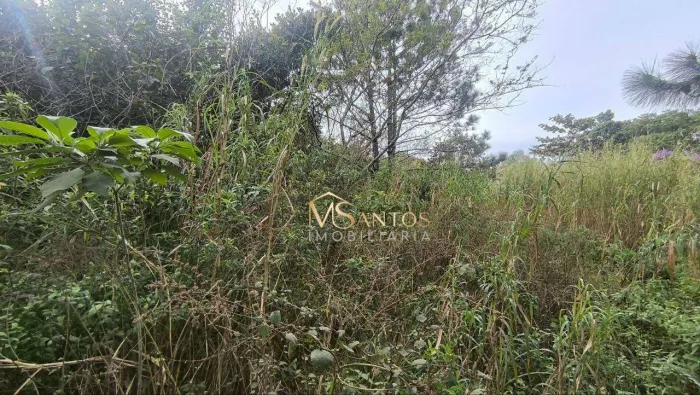 Terreno à venda, 1000 m² por R$ 850.000,00 - São João do Rio Vermelho - Florianópolis/SC
