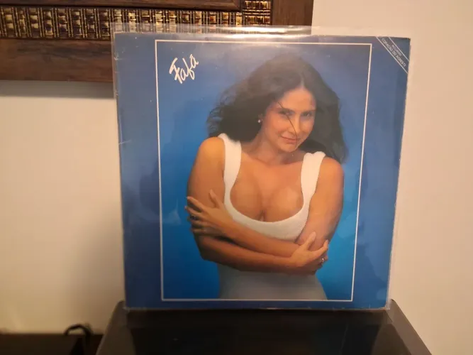 Disco de vinil