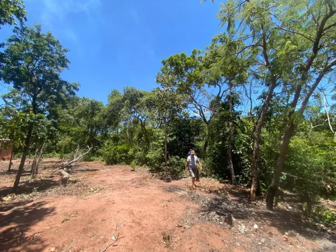 Lote ponte do grego