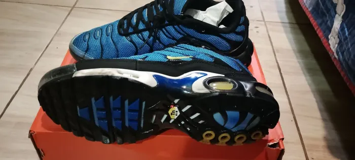Nike tn air Max
