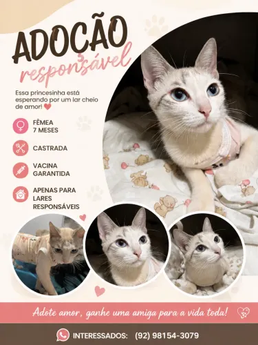 Adoaçao