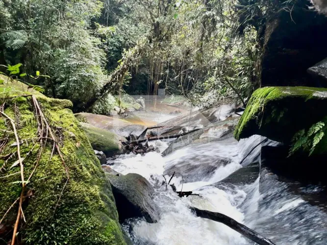 Casa em área de preservação com cachoeira, piscina natural e permuta em SP