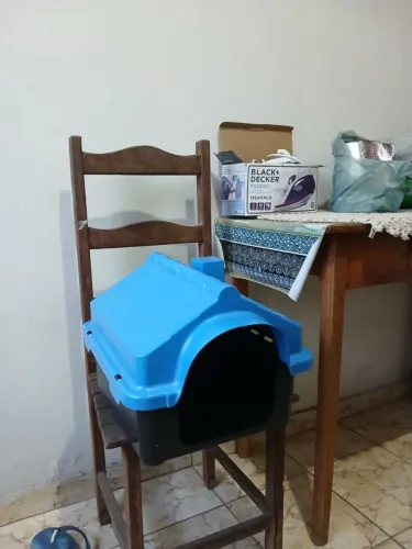 Casinha de cachorro e 2 vasilha de raçao