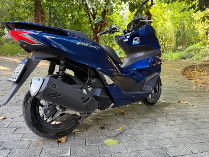 PCX NOVÍSSIMA