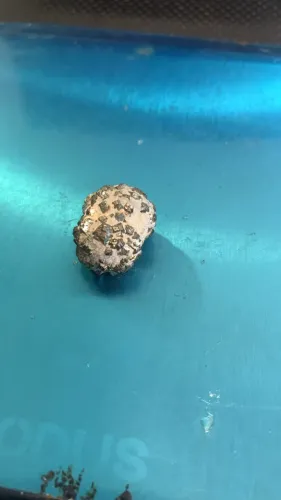 Pirita Bruta Natural 11g - Cluster com Cristais - Mineral para Coleção