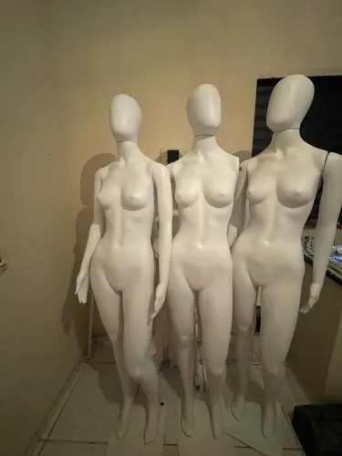 Manequins, balcão, provador e araras.