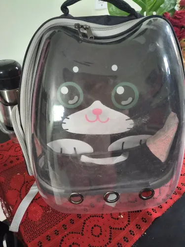 Mochila de gato