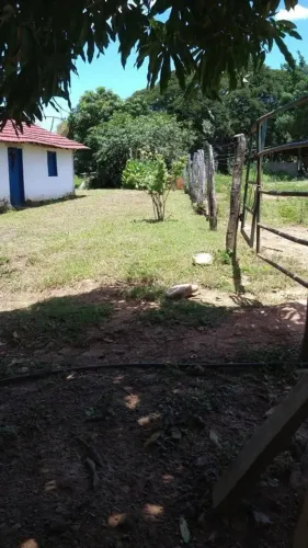 Vendo Sitio rico em água próximo a cabeceiras