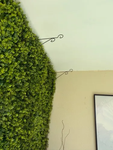 Painel de folhagem, lindo para decoração
