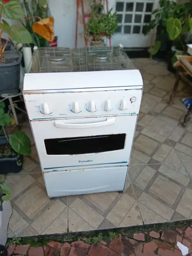 Elétro do mestico