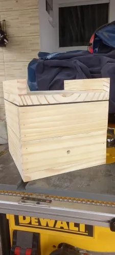 Caixa impa modular para abelhas sem ferrão