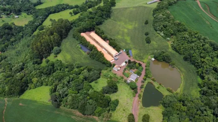 Propriedade Rural Altamente Rentável 14,5 hectares
