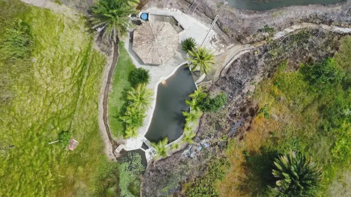 fazenda com 80 hectares no Catu em Goianinha
