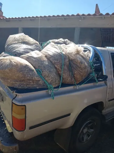 Esterco para plantas