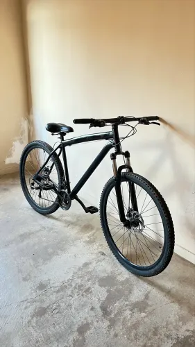 Aro 29