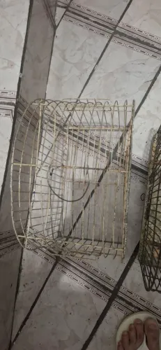 Gaiola de ferro