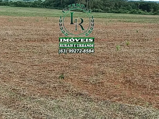 Fazenda 213 Alqueires Plantando
