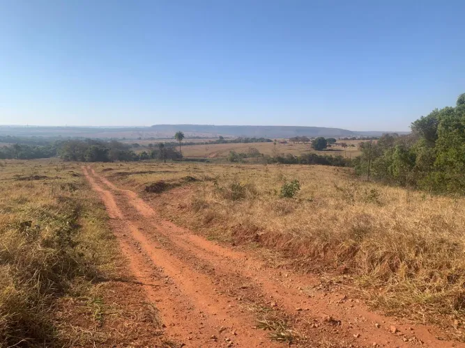 Fazenda em campina verde 