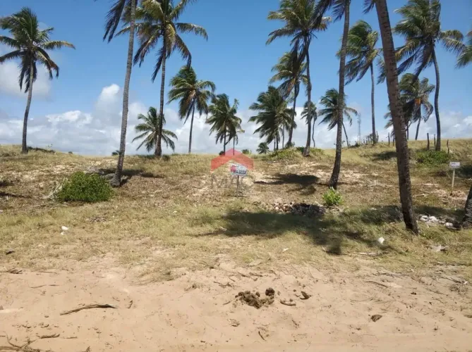 Terreno para Venda em Esplanada, Abrantes