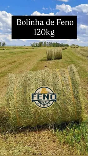 Feno e Alfafa em Bola