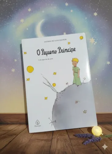 O pequeno príncipe