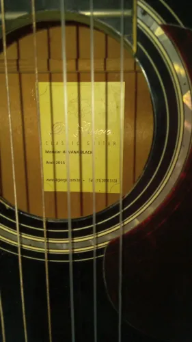 Violão digiorgio havana elétrico