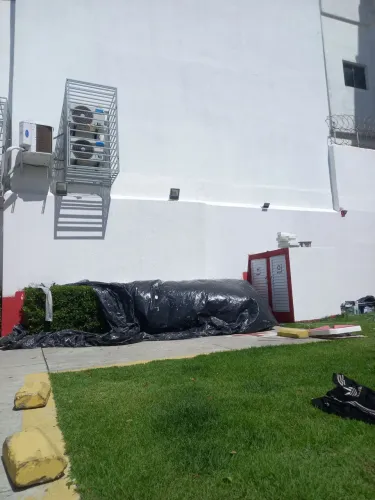 Pinturas 